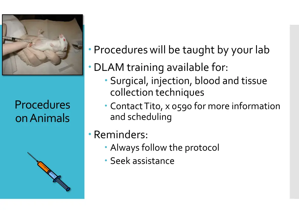 procedures will be taught by your lab dlam