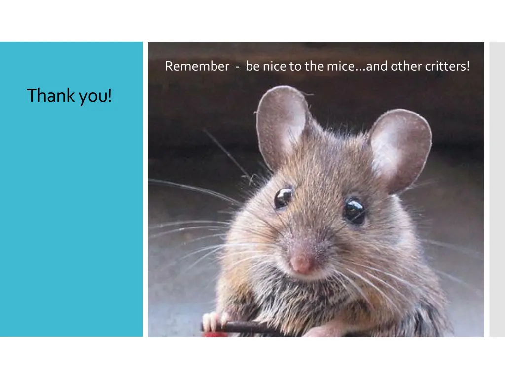 remember be nice to the mice and other critters