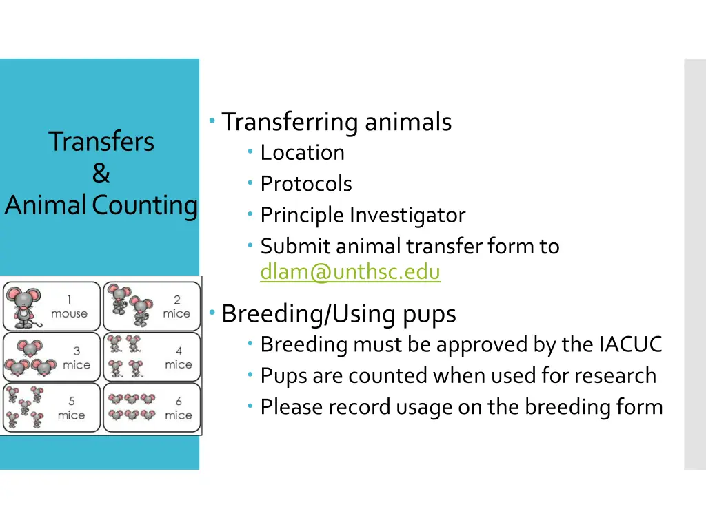 transferring animals location protocols principle