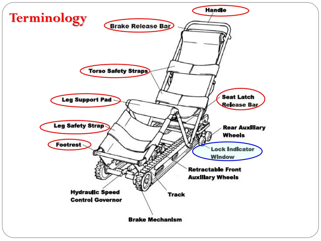 terminology