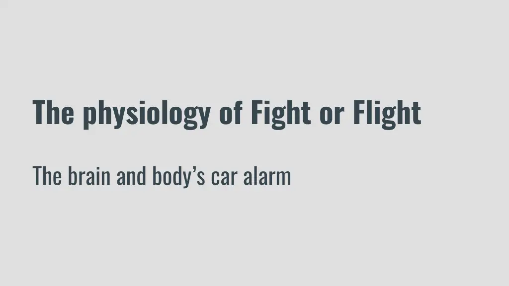 the physiology of fight or flight