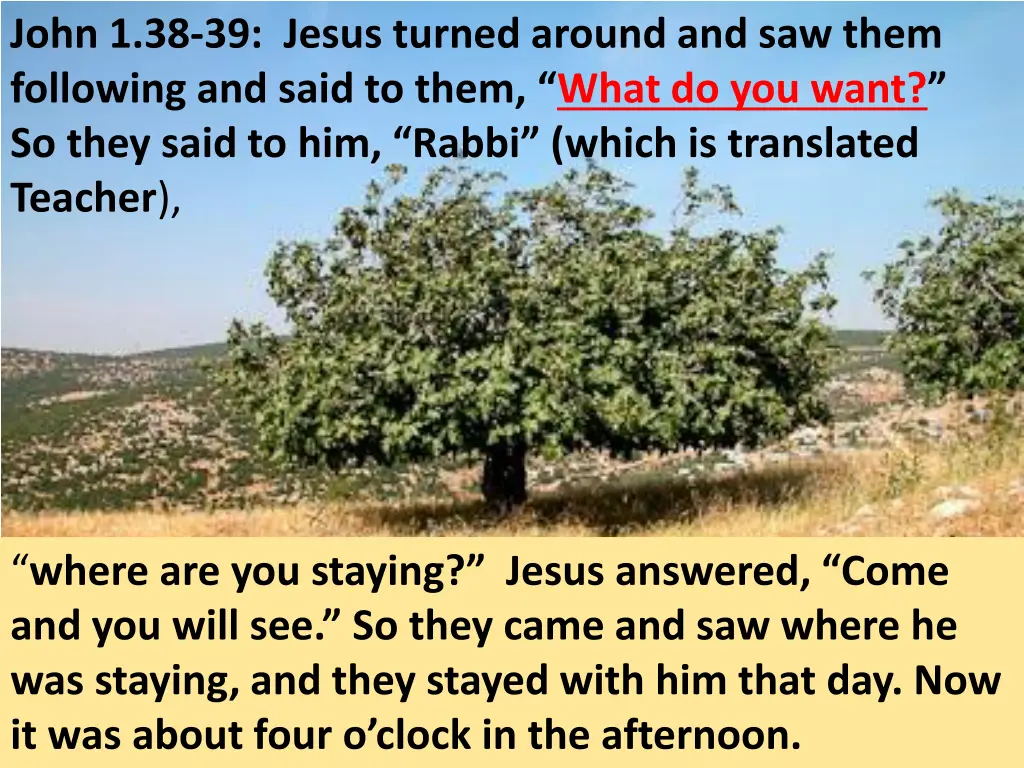 john 1 38 39 jesus turned around and saw them 1