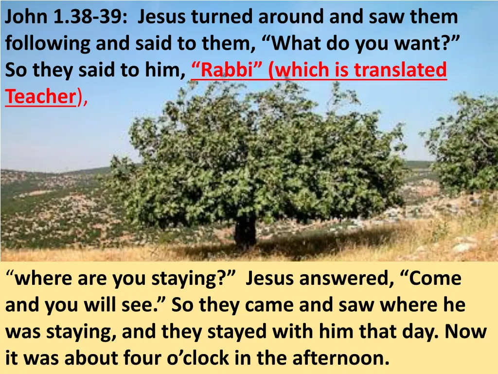 john 1 38 39 jesus turned around and saw them