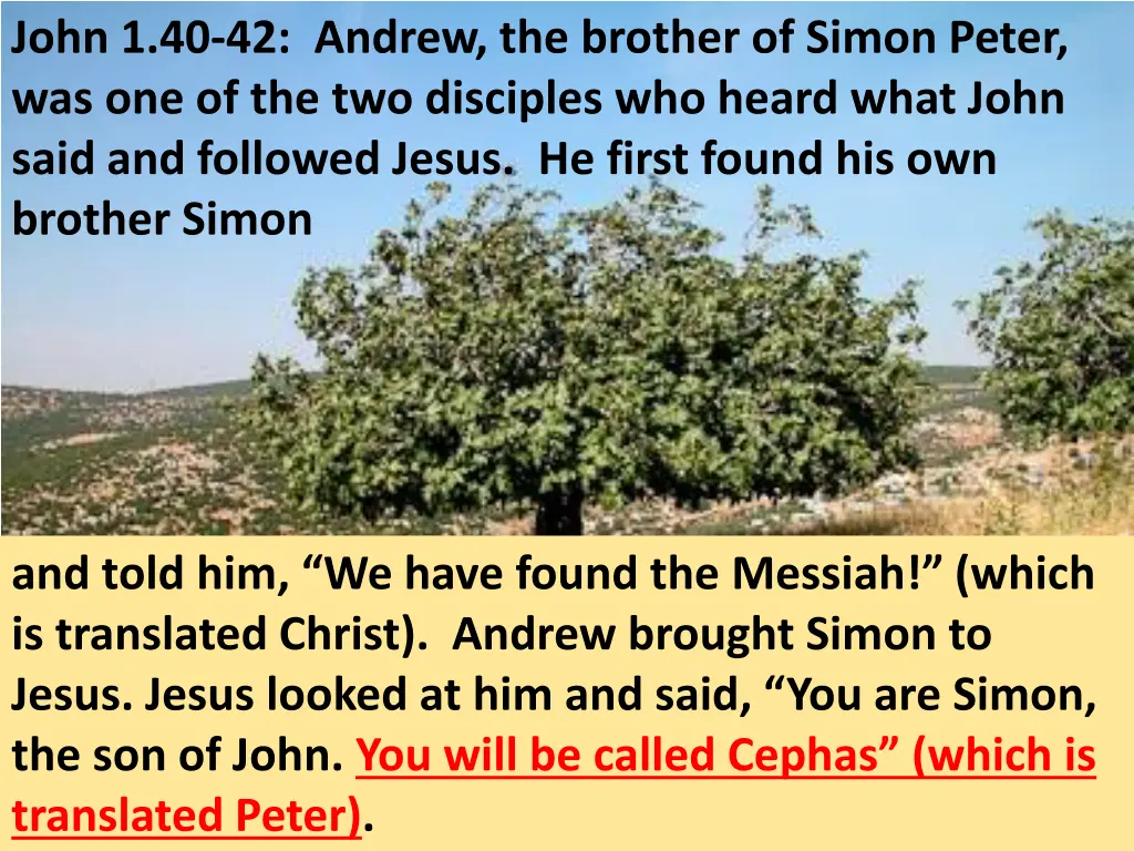 john 1 40 42 andrew the brother of simon peter 1