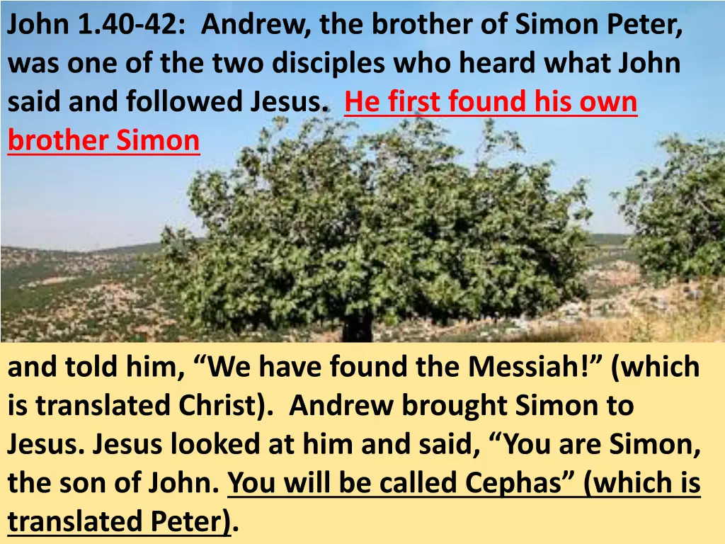 john 1 40 42 andrew the brother of simon peter 2