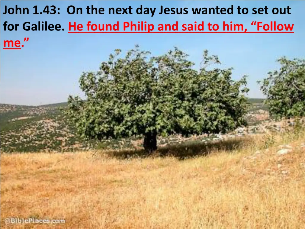 john 1 43 on the next day jesus wanted