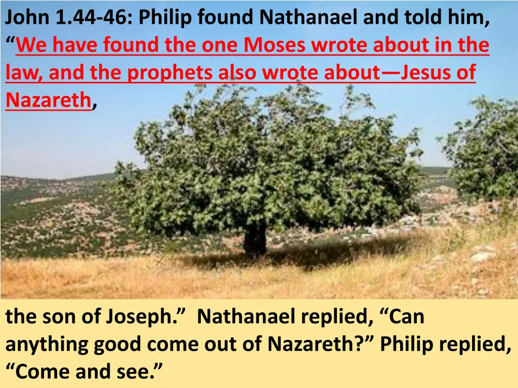 john 1 44 46 philip found nathanael and told