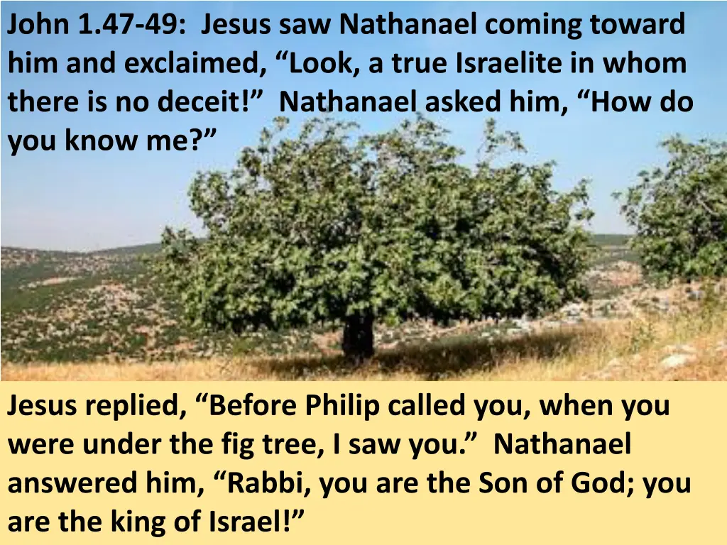 john 1 47 49 jesus saw nathanael coming toward