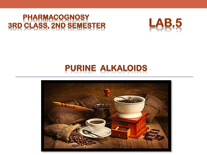 purine alkaloids purine alkaloids