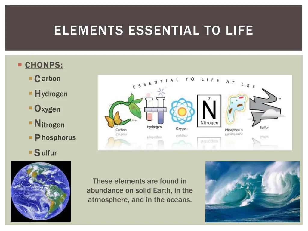 elements essential to life