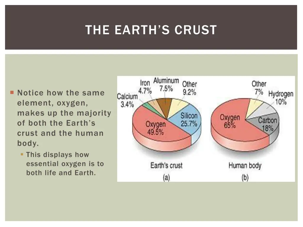 the earth s crust