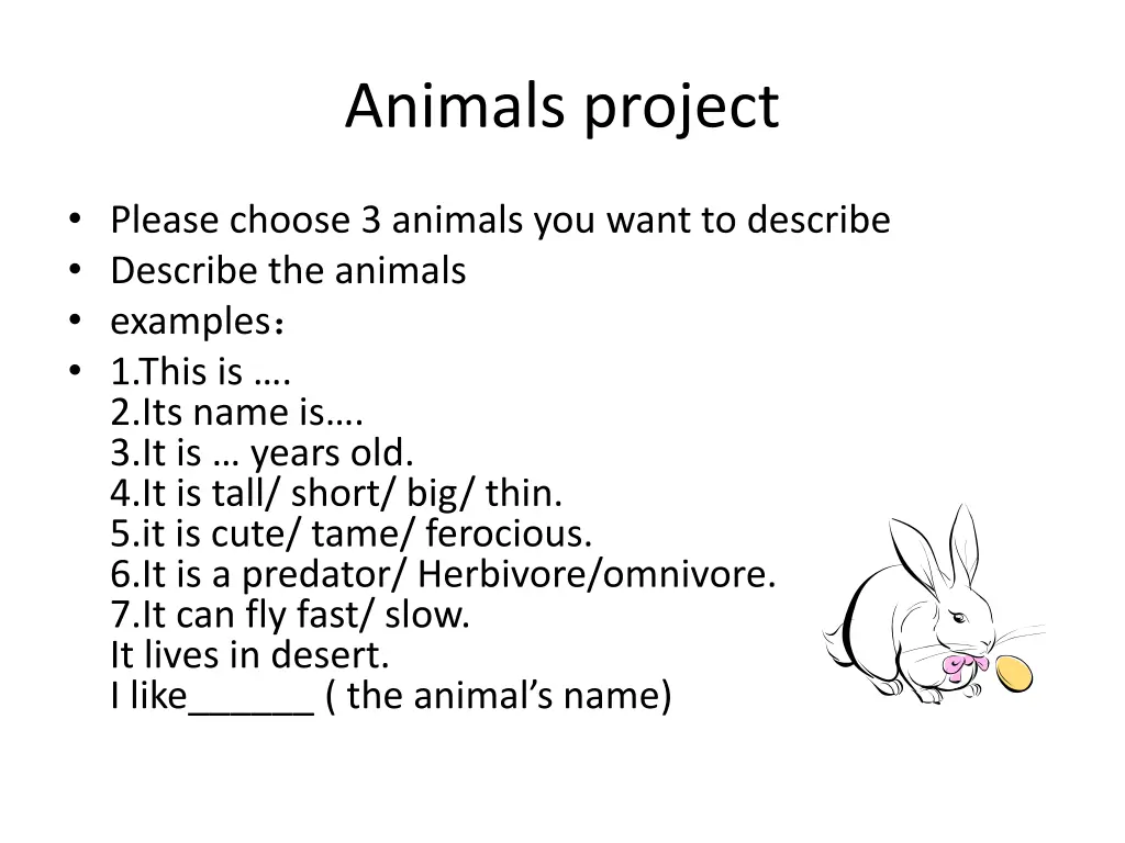 animals project