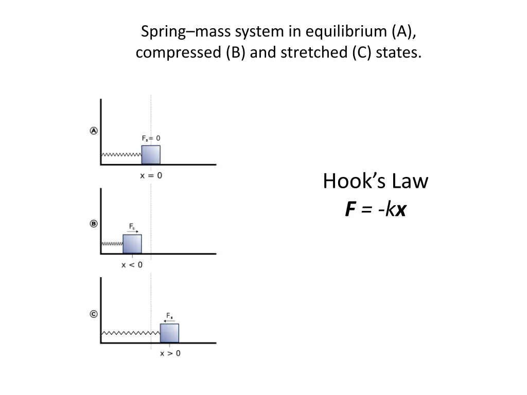 spring mass system in equilibrium a compressed