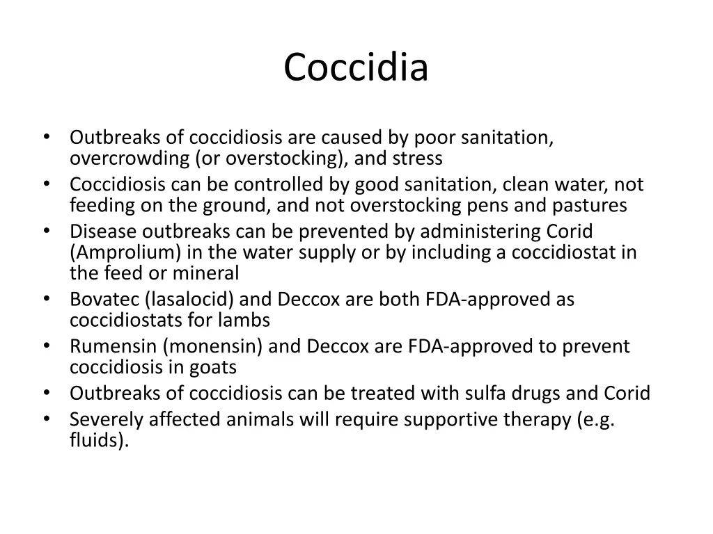 coccidia 1