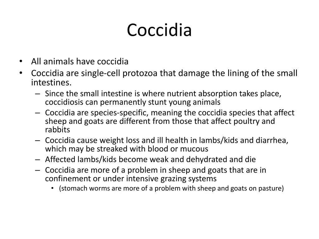 coccidia