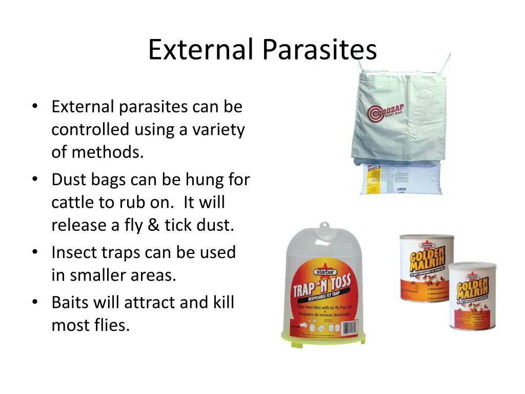 external parasites 1