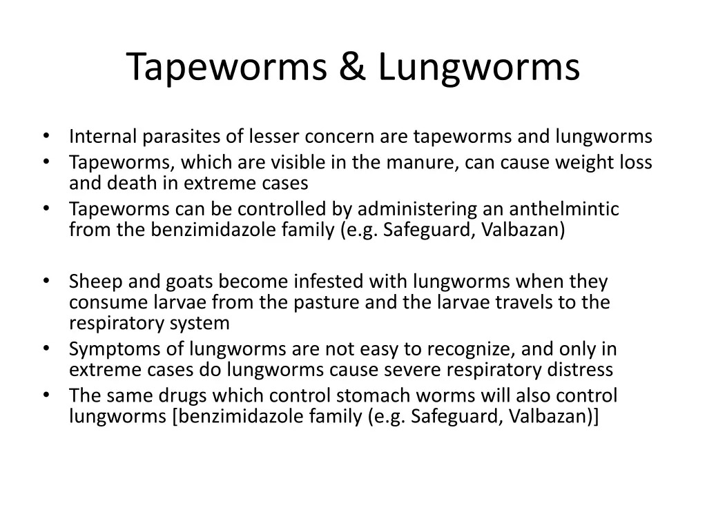 tapeworms lungworms