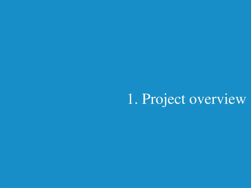 1 project overview