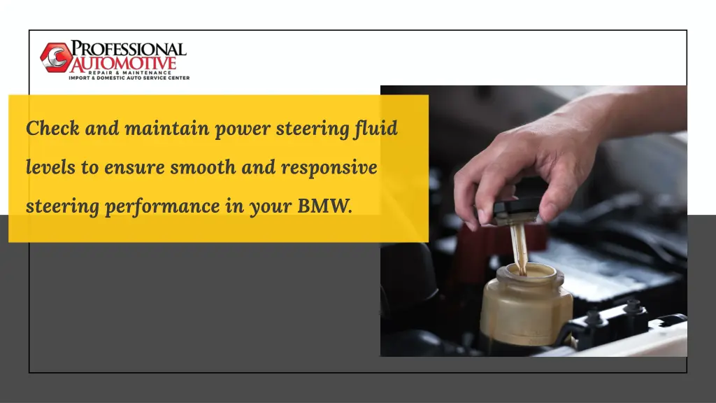 check and maintain power steering fluid