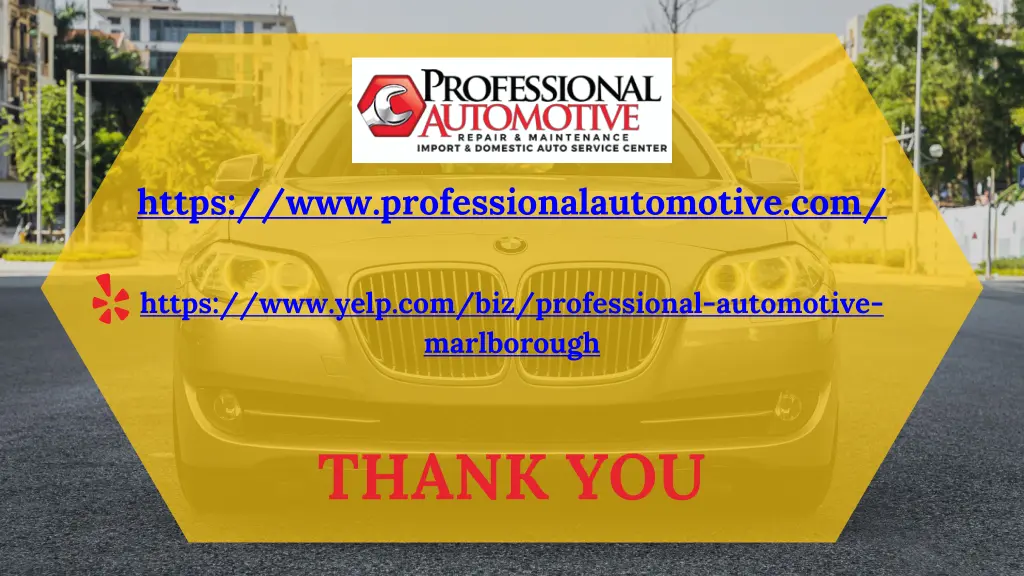 https www professionalautomotive com