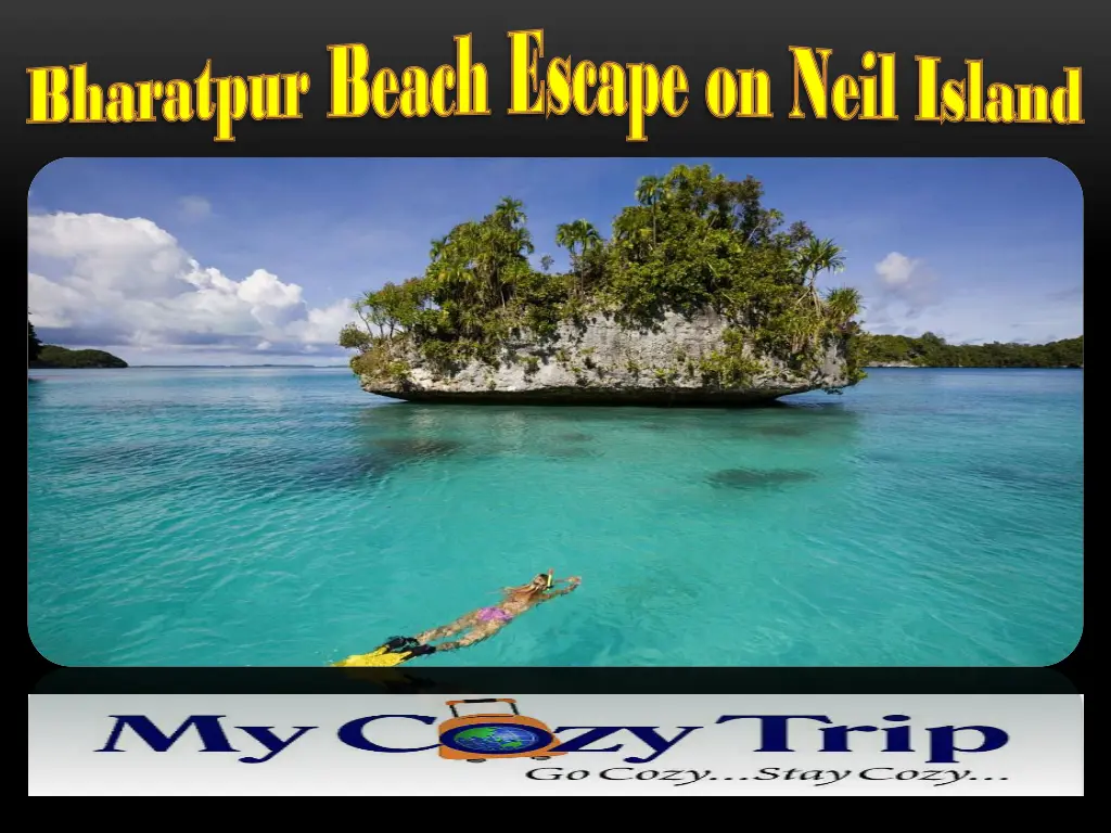 bharatpur bharatpur beach escape on neil island 1