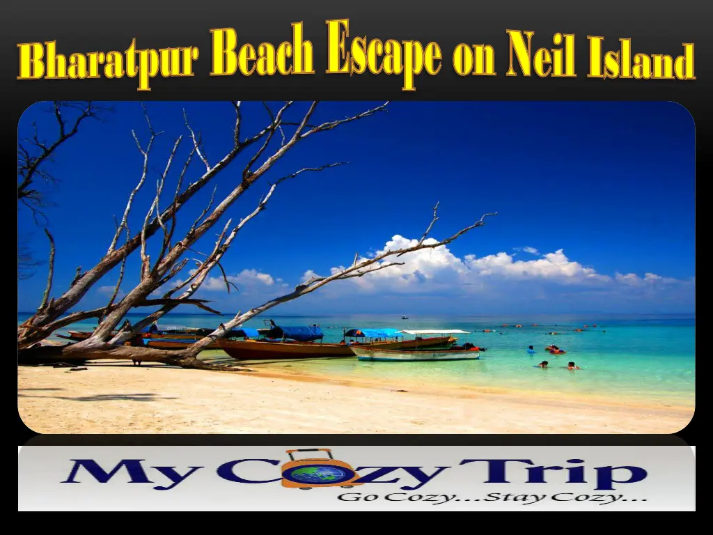 bharatpur bharatpur beach escape on neil island 2