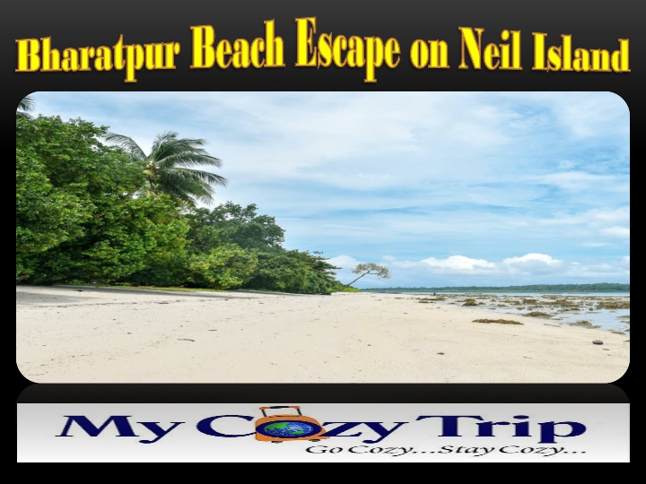 bharatpur bharatpur beach escape on neil island