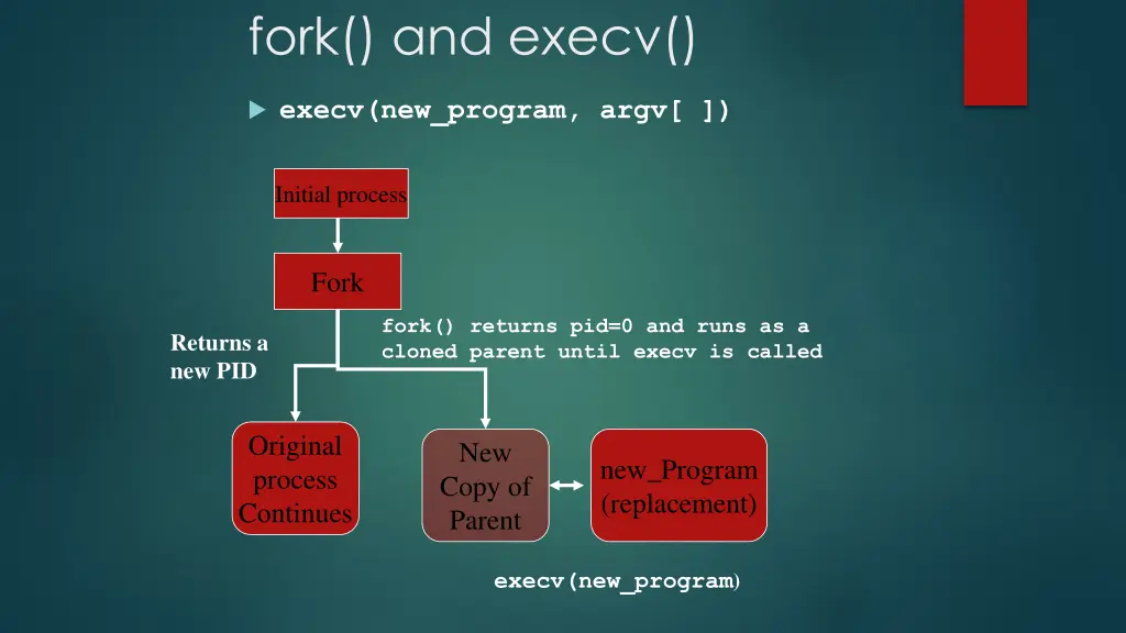 fork and execv