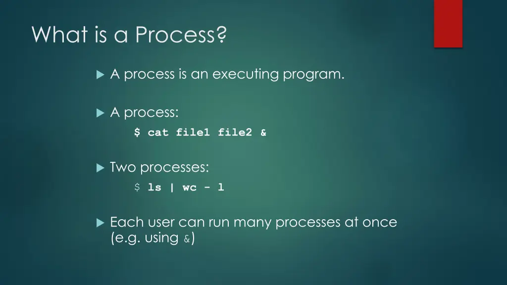 what is a process