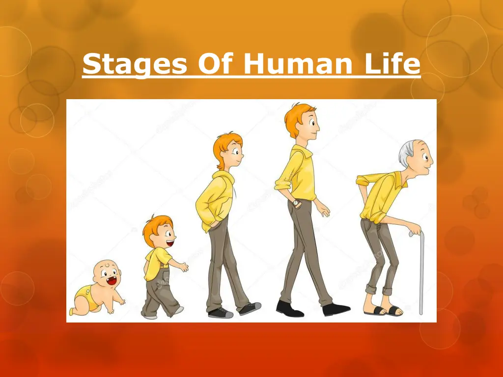 stages of human life