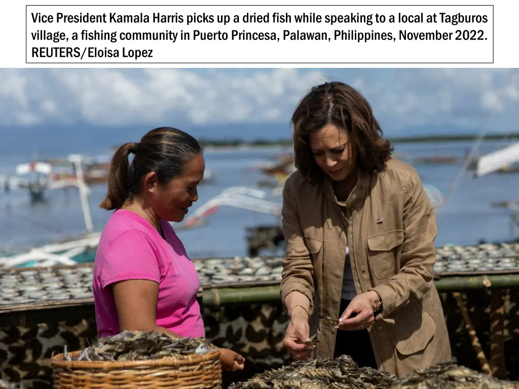 vice president kamala harris picks up a dried