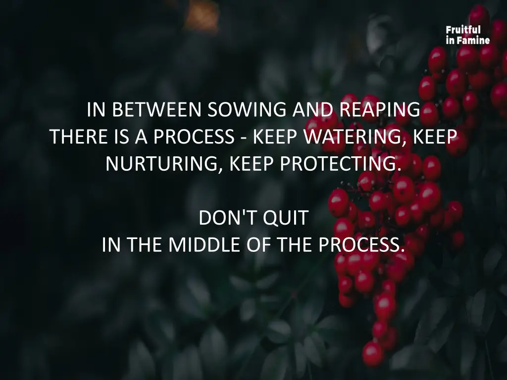 in between sowing and reaping there is a process