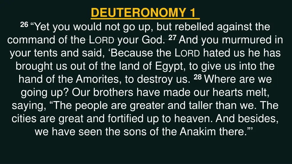 deuteronomy 1 4