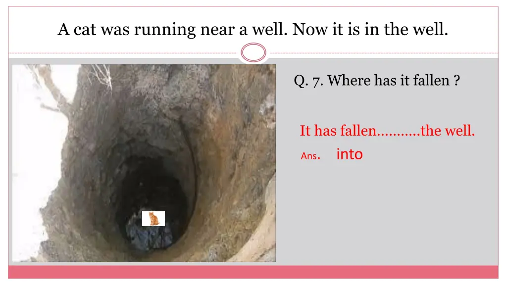 a cat was running near a well