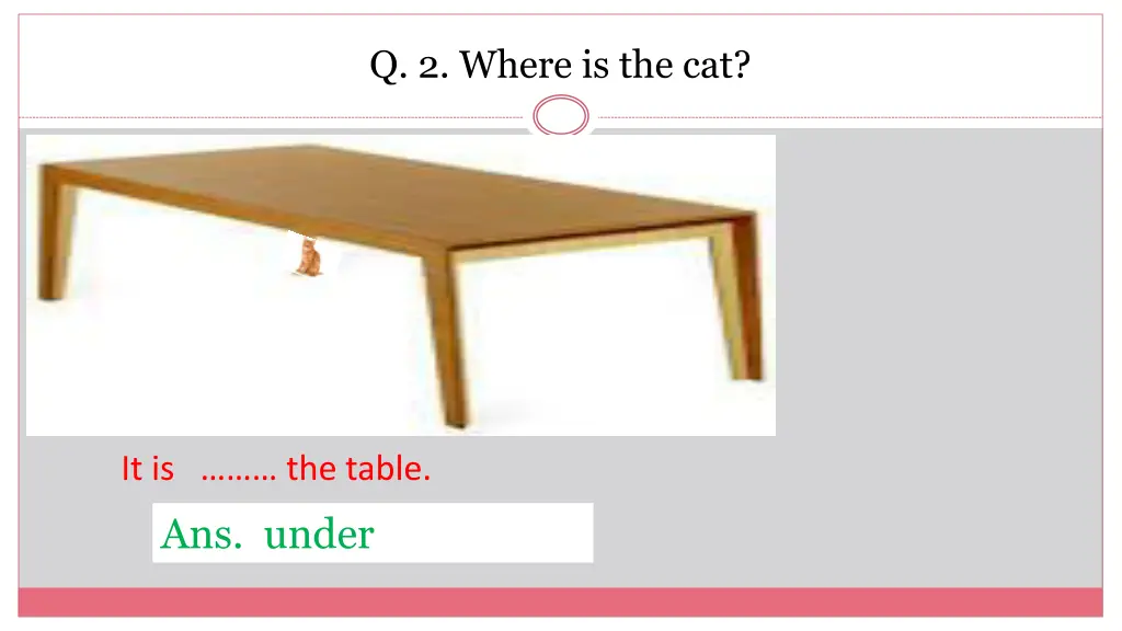 q 2 where is the cat