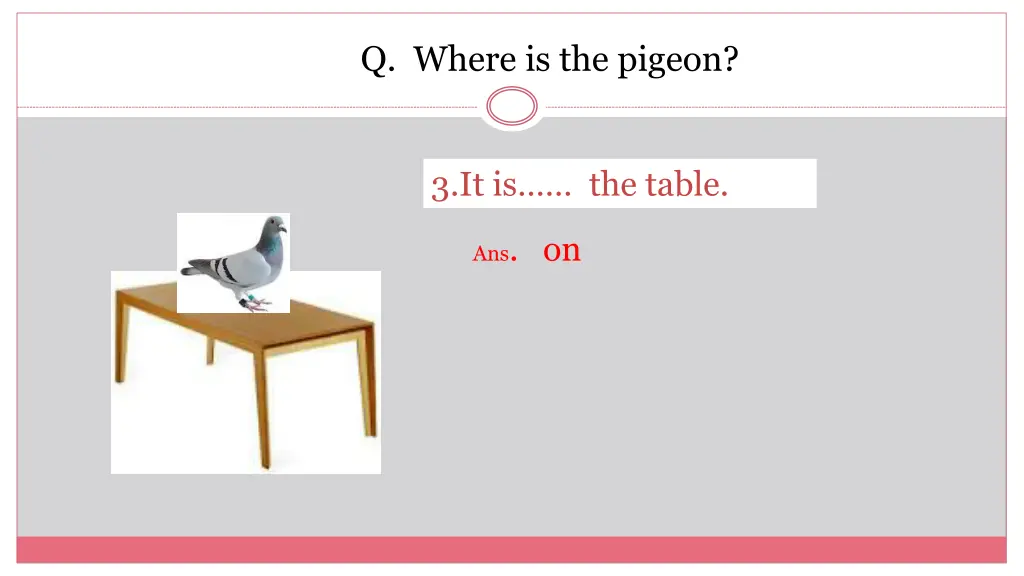 q where is the pigeon