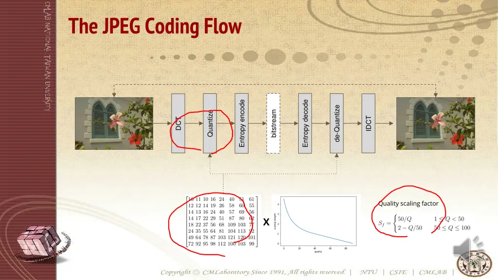 the jpeg coding flow