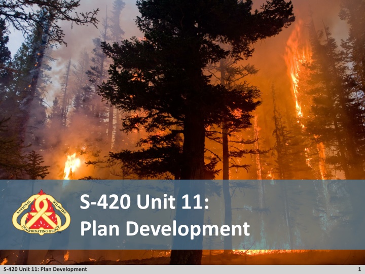 s 420 unit 11 plan development