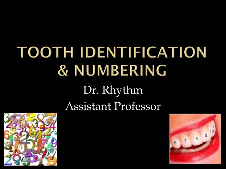 dr rhythm assistant professor