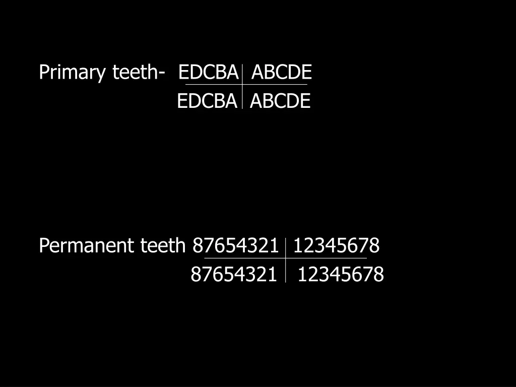 primary teeth edcba abcde edcba abcde