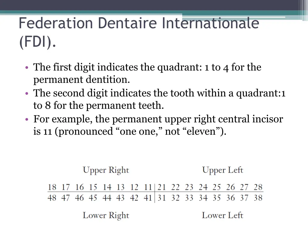 federation dentaire internationale fdi 1