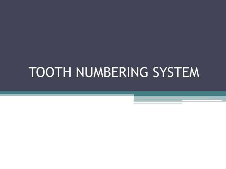 tooth numbering system