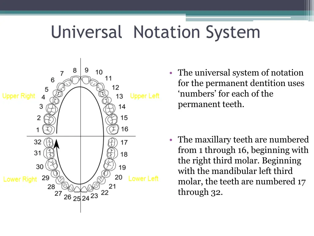 universal notation system 1