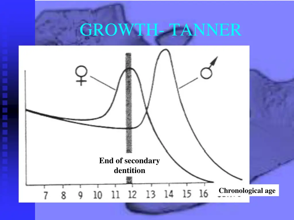 growth tanner