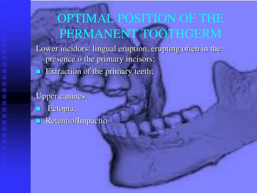 optimal position of the permanent toothgerm lower