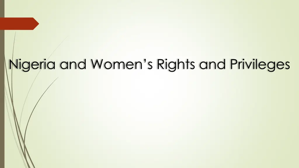 nigeria and women s rights and privileges