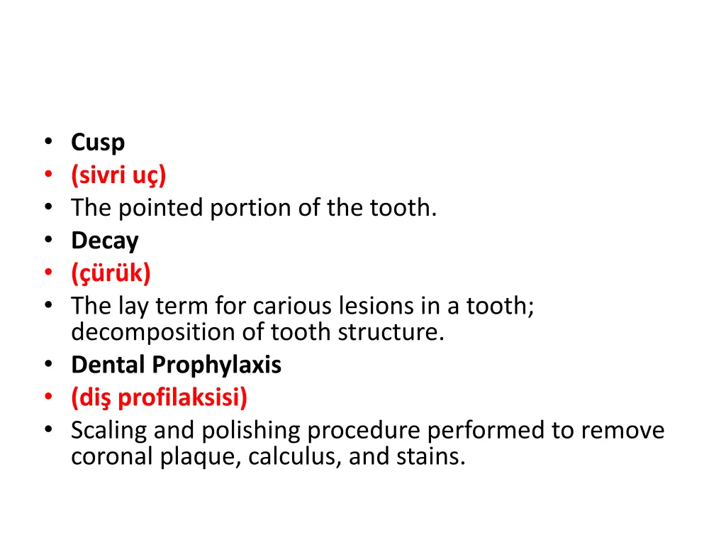 cusp sivri u the pointed portion of the tooth