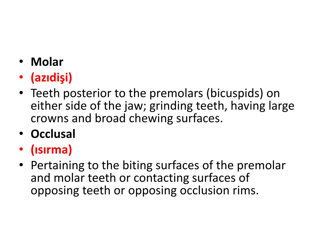 molar az di i teeth posterior to the premolars