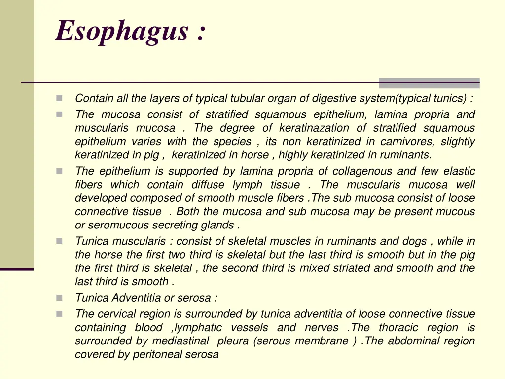 esophagus