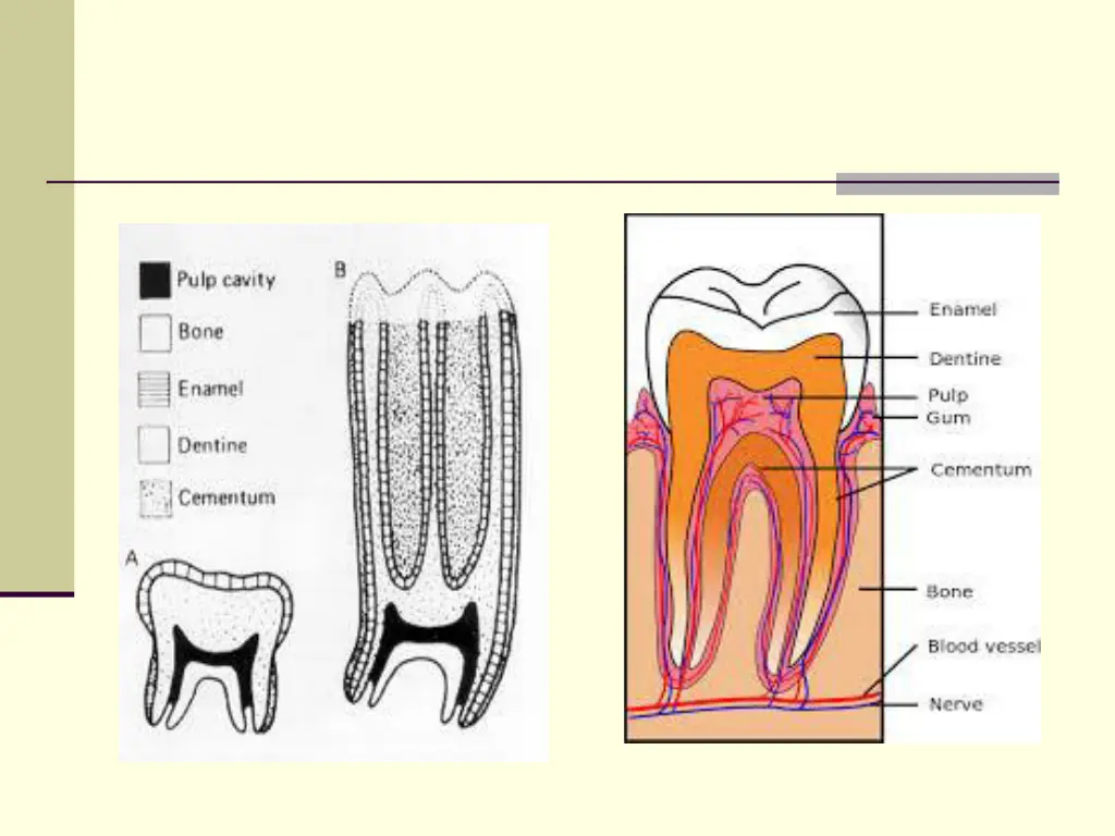 slide5